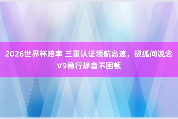 2026世界杯赔率 三重认证领航高速,极狐问说念V9稳行静音不困顿