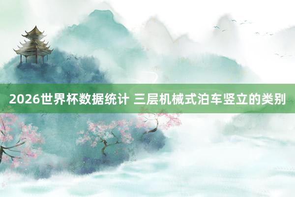 2026世界杯数据统计 三层机械式泊车竖立的类别