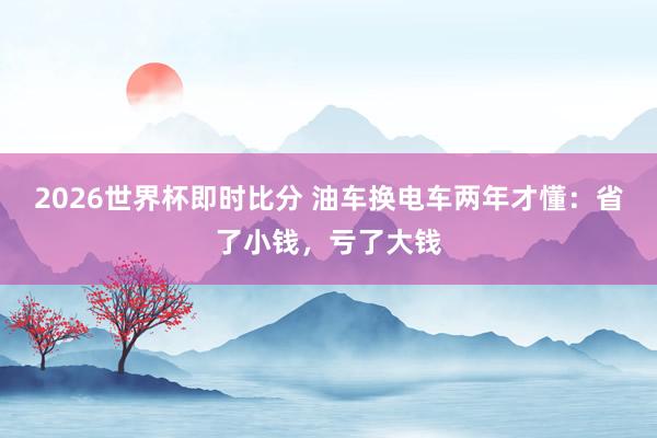 2026世界杯即时比分 油车换电车两年才懂:省了小钱,亏了大钱