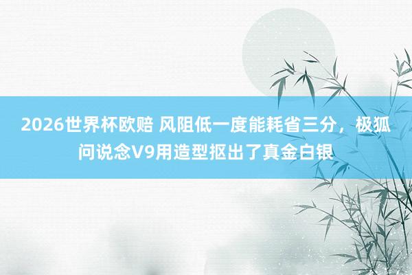 2026世界杯欧赔 风阻低一度能耗省三分,极狐问说念V9用造型抠出了真金白银