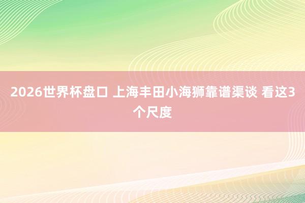 2026世界杯盘口 上海丰田小海狮靠谱渠谈 看这3个尺度