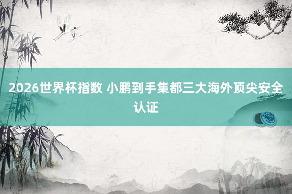 2026世界杯指数 小鹏到手集都三大海外顶尖安全认证