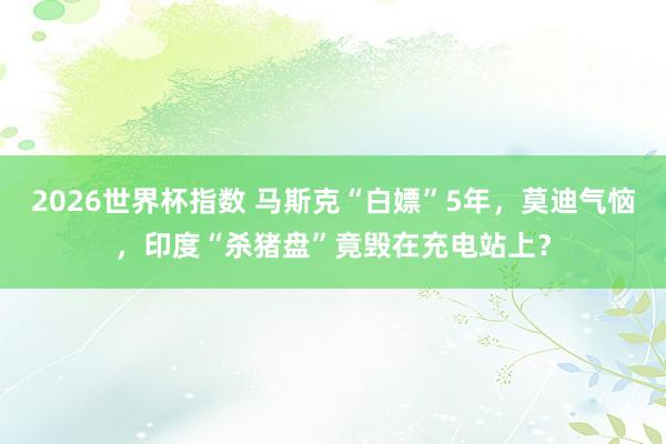 2026世界杯指数 马斯克“白嫖”5年,莫迪气恼,印度“杀猪盘”竟毁在充电站上?