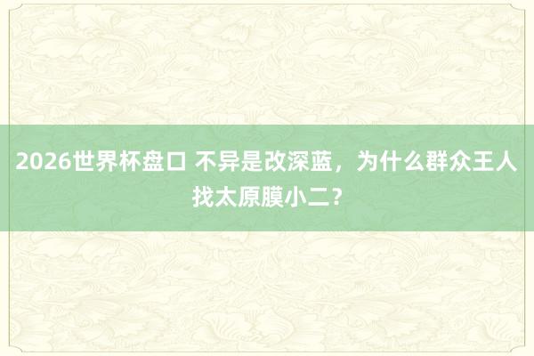 2026世界杯盘口 不异是改深蓝,为什么群众王人找太原膜小二?