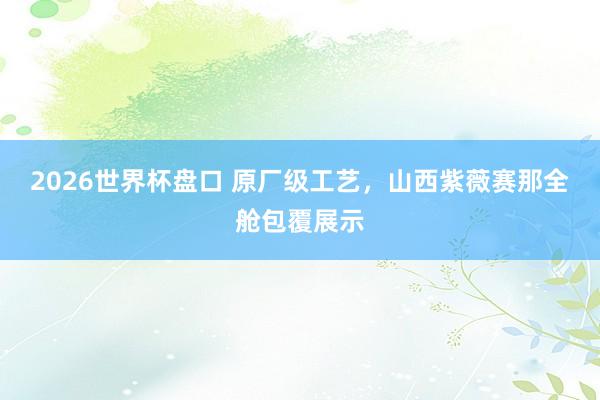 2026世界杯盘口 原厂级工艺,山西紫薇赛那全舱包覆展示