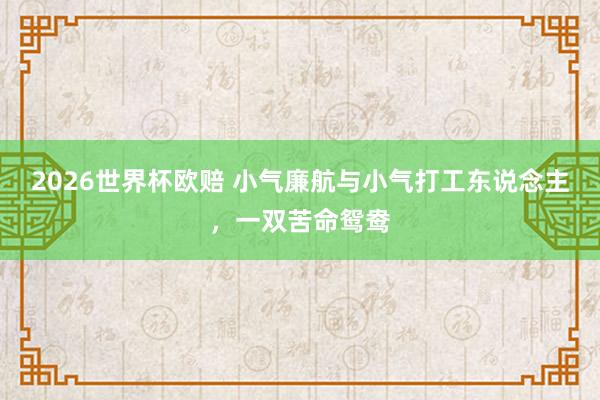 2026世界杯欧赔 小气廉航与小气打工东说念主，一双苦命鸳鸯