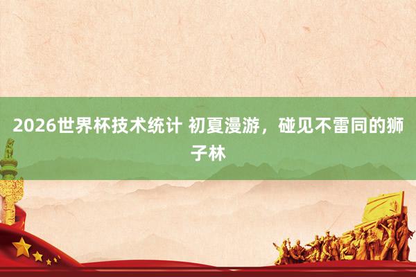 2026世界杯技术统计 初夏漫游，<a href=