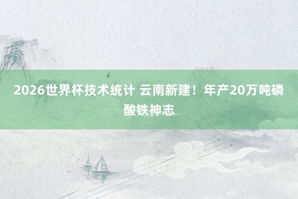 2026世界杯技术统计 云南新建！年产20万吨磷酸铁神志