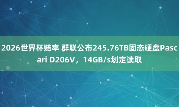 2026世界杯赔率 群联公布245.76TB固态硬盘Pascari D206V,14GB/s划定读取