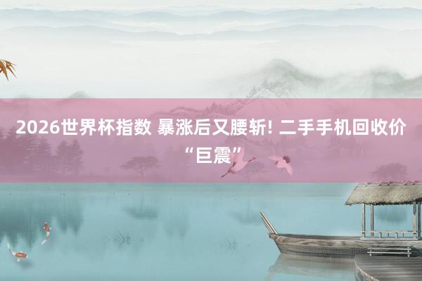2026世界杯指数 暴涨后又腰斩! 二手手机回收价“巨震”