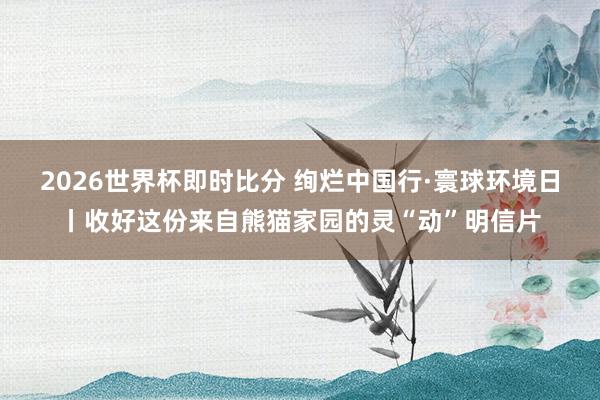 2026世界杯即时比分 绚烂中国行·寰球环境日丨收好这份来自熊猫家园的灵“动”明信片