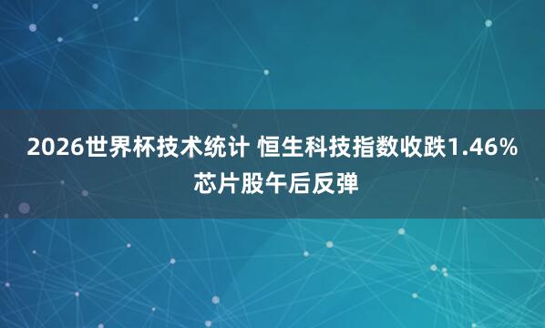 2026世界杯技术统计 恒生科技指数收跌1.46% 芯片股午后反弹