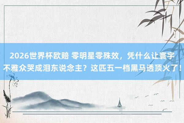 2026世界杯欧赔 零明星零殊效，凭什么让寰宇不雅众哭成泪东说念主？这匹五一档黑马透顶火了！