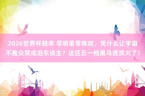 2026世界杯赔率 零明星零殊效，凭什么让宇宙不雅众哭成泪东谈主？这匹五一档黑马透顶火了！